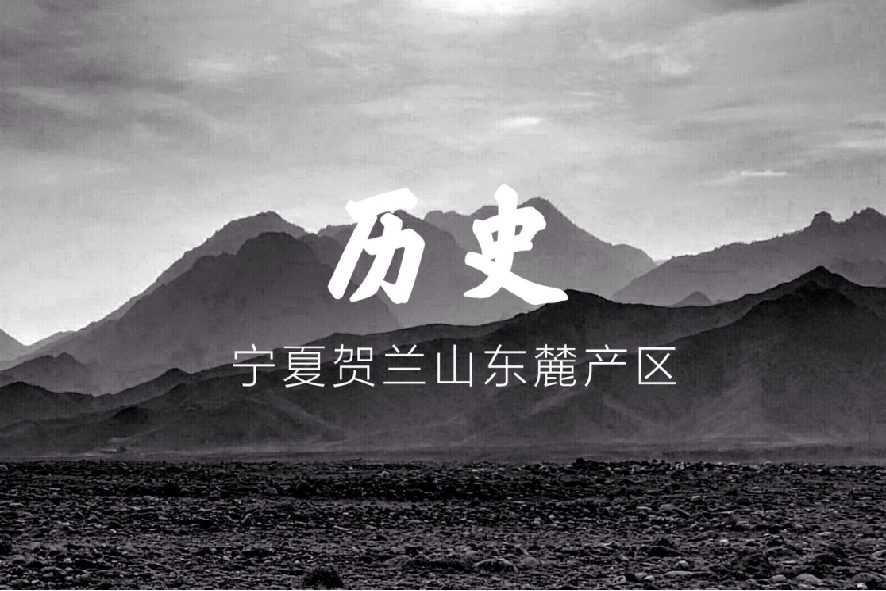 宁夏产区|历史